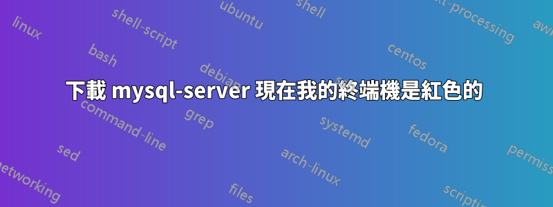 下載 mysql-server 現在我的終端機是紅色的