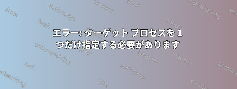 エラー: ターゲット プロセスを 1 つだけ指定する必要があります