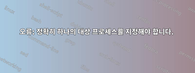 오류: 정확히 하나의 대상 프로세스를 지정해야 합니다.