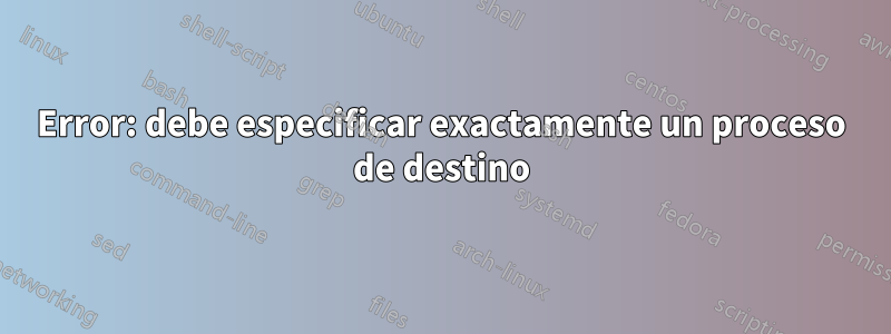 Error: debe especificar exactamente un proceso de destino