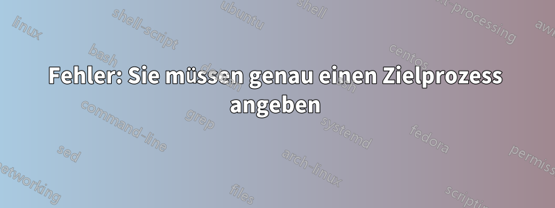 Fehler: Sie müssen genau einen Zielprozess angeben