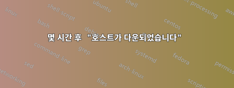 몇 시간 후 "호스트가 다운되었습니다"