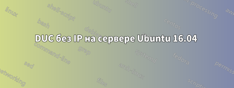 DUC без IP на сервере Ubuntu 16.04