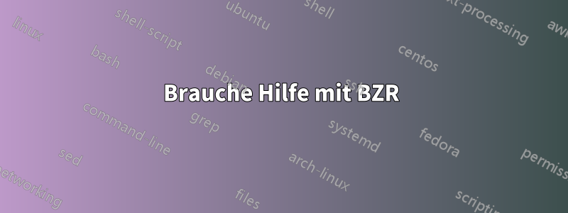 Brauche Hilfe mit BZR