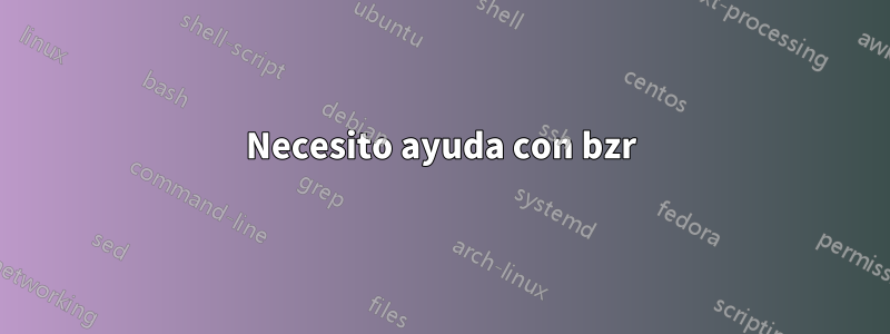 Necesito ayuda con bzr