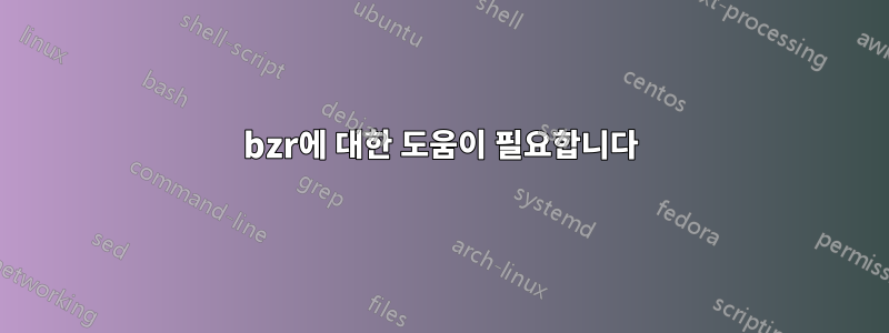 bzr에 대한 도움이 필요합니다