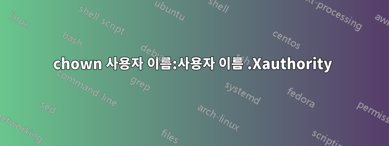 chown 사용자 이름:사용자 이름 .Xauthority