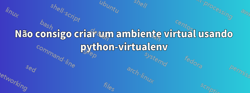 Não consigo criar um ambiente virtual usando python-virtualenv
