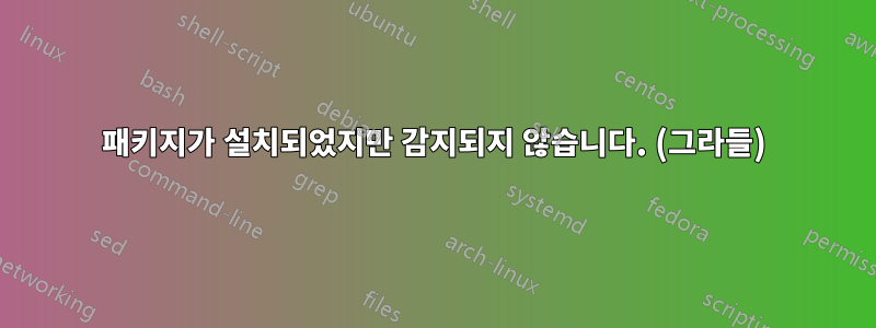 패키지가 설치되었지만 감지되지 않습니다. (그라들)