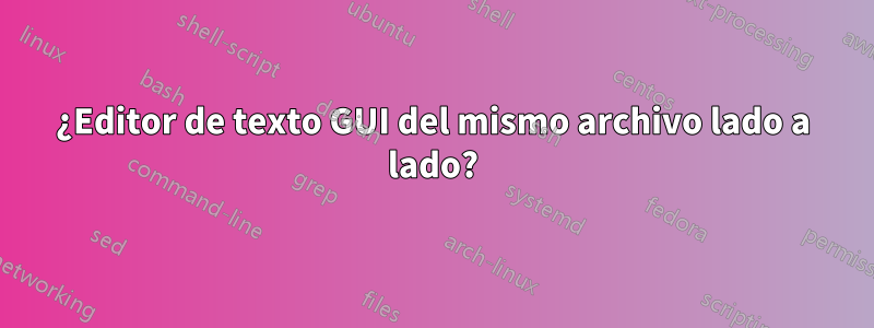 ¿Editor de texto GUI del mismo archivo lado a lado?