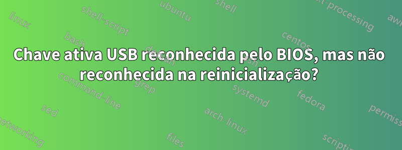 Chave ativa USB reconhecida pelo BIOS, mas não reconhecida na reinicialização?