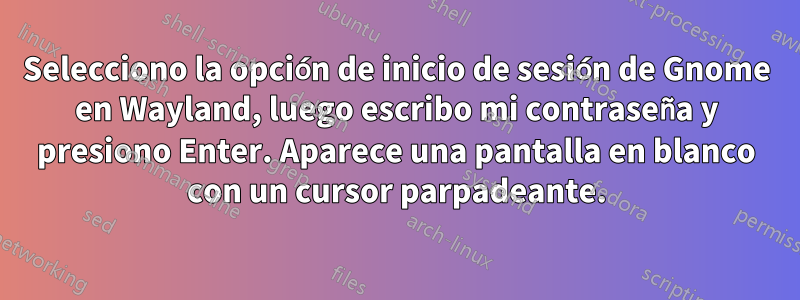 Selecciono la opción de inicio de sesión de Gnome en Wayland, luego escribo mi contraseña y presiono Enter. Aparece una pantalla en blanco con un cursor parpadeante.