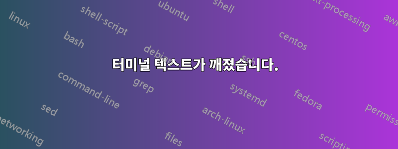 터미널 텍스트가 깨졌습니다. 