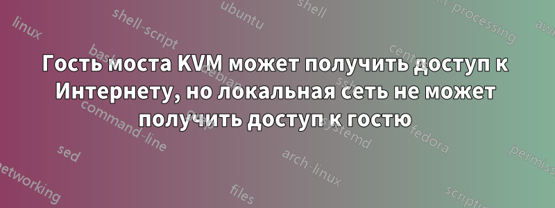 Гость моста KVM может получить доступ к Интернету, но локальная сеть не может получить доступ к гостю