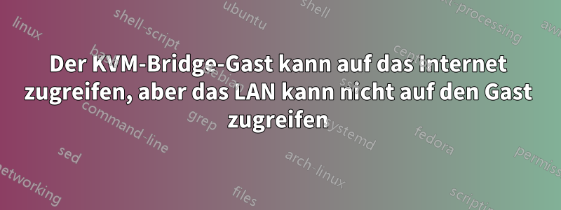 Der KVM-Bridge-Gast kann auf das Internet zugreifen, aber das LAN kann nicht auf den Gast zugreifen