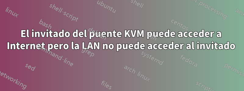 El invitado del puente KVM puede acceder a Internet pero la LAN no puede acceder al invitado