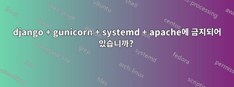 403 django + gunicorn + systemd + apache에 금지되어 있습니까?