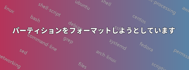 パーティションをフォーマットしようとしています