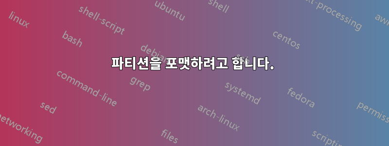 파티션을 포맷하려고 합니다.