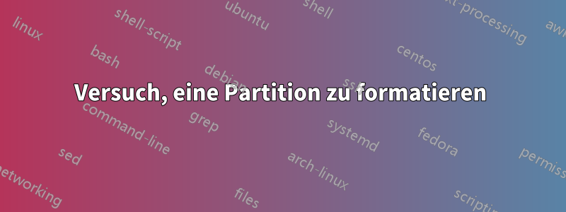 Versuch, eine Partition zu formatieren