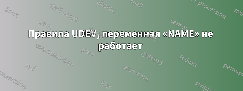 Правила UDEV, переменная «NAME» не работает