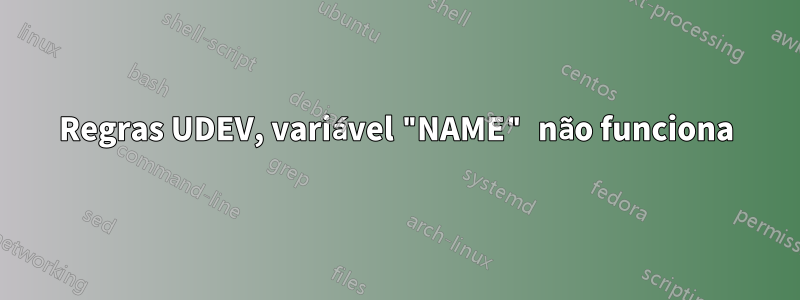 Regras UDEV, variável "NAME" não funciona