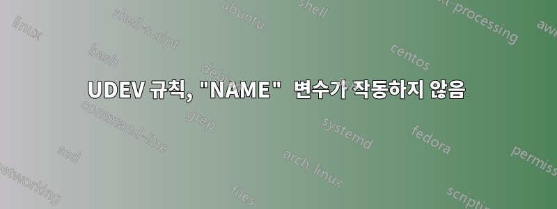 UDEV 규칙, "NAME" 변수가 작동하지 않음