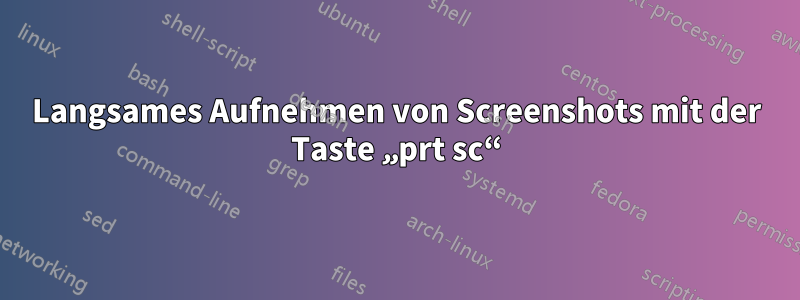 Langsames Aufnehmen von Screenshots mit der Taste „prt sc“