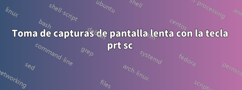 Toma de capturas de pantalla lenta con la tecla prt sc