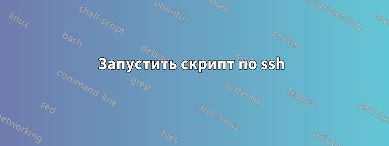 Запустить скрипт по ssh 