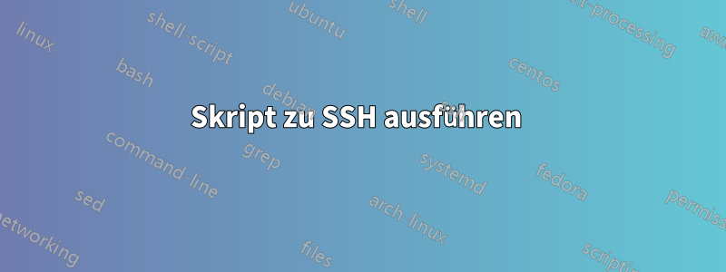 Skript zu SSH ausführen 