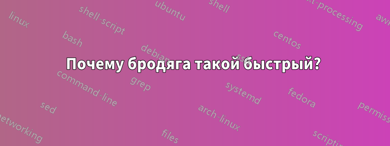 Почему бродяга такой быстрый?