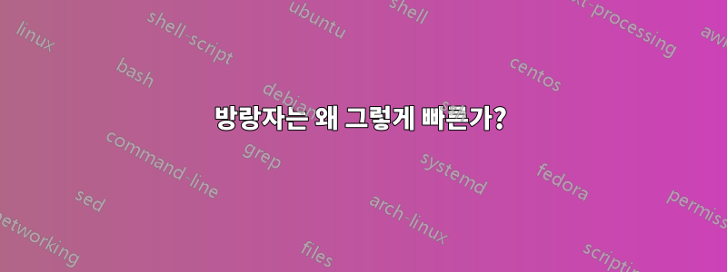 방랑자는 왜 그렇게 빠른가?