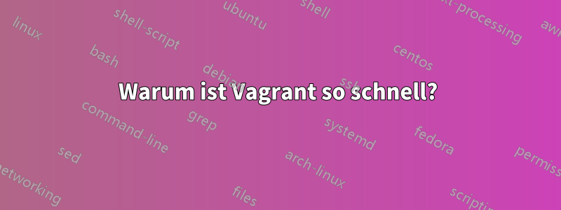 Warum ist Vagrant so schnell?