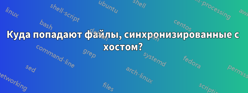 Куда попадают файлы, синхронизированные с хостом?