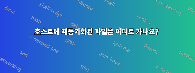 호스트에 재동기화된 파일은 어디로 가나요?