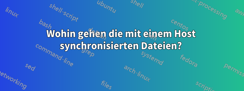 Wohin gehen die mit einem Host synchronisierten Dateien?