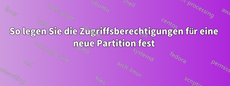 So legen Sie die Zugriffsberechtigungen für eine neue Partition fest