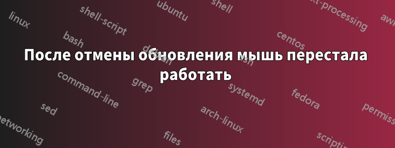 После отмены обновления мышь перестала работать