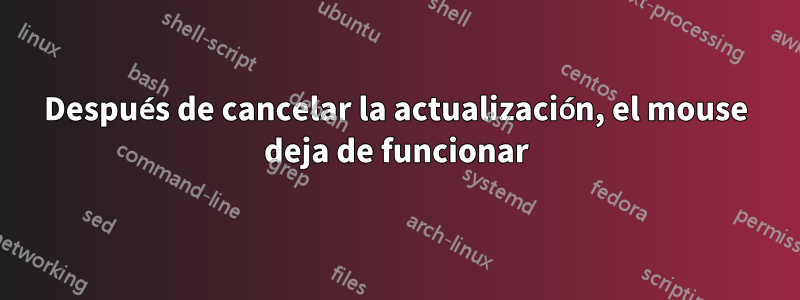 Después de cancelar la actualización, el mouse deja de funcionar