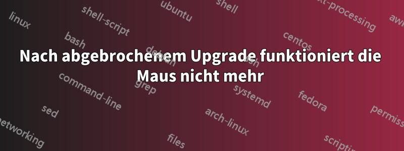 Nach abgebrochenem Upgrade funktioniert die Maus nicht mehr