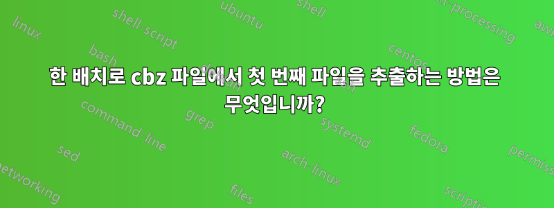 한 배치로 cbz 파일에서 첫 번째 파일을 추출하는 방법은 무엇입니까?