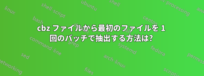 cbz ファイルから最初のファイルを 1 回のバッチで抽出する方法は?