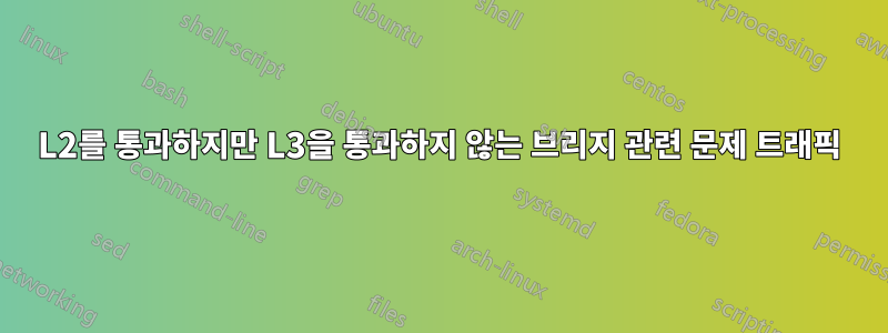 L2를 통과하지만 L3을 통과하지 않는 브리지 관련 문제 트래픽