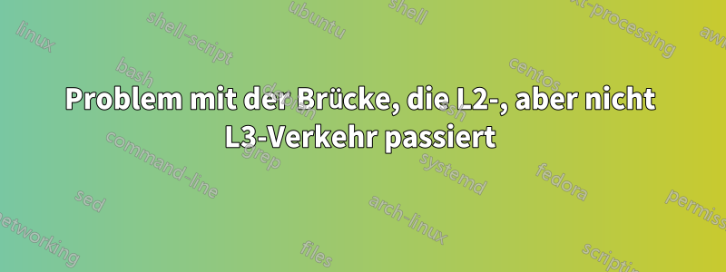 Problem mit der Brücke, die L2-, aber nicht L3-Verkehr passiert