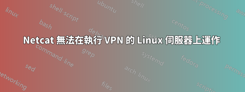 Netcat 無法在執行 VPN 的 Linux 伺服器上運作