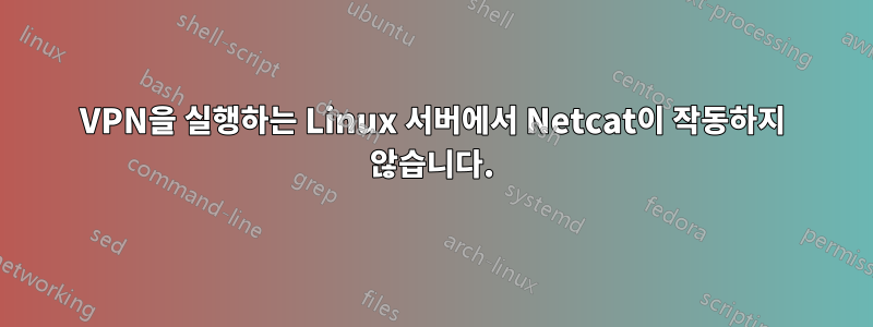 VPN을 실행하는 Linux 서버에서 Netcat이 작동하지 않습니다.