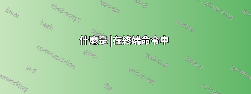 什麼是 |在終端命令中