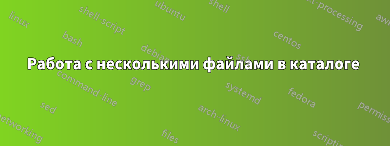 Работа с несколькими файлами в каталоге