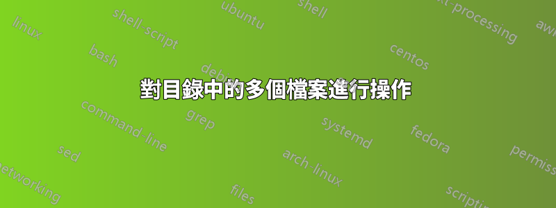 對目錄中的多個檔案進行操作